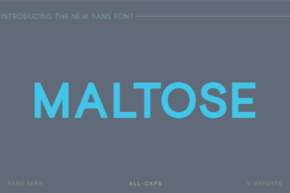 Maltose: The Modern Sans Serif Typeface for Scroll-Stopping Brand Content